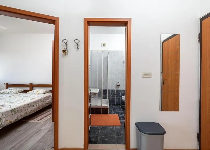 Apartment Apartment Igor Icici